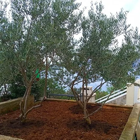 By The Sea Kneza, Korcula - 20892 아파트 *